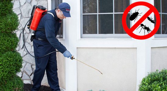 Kartal Bit İlaçlama böcek ilaçlama ve haşere kontrolü — ilaclama-tr.com